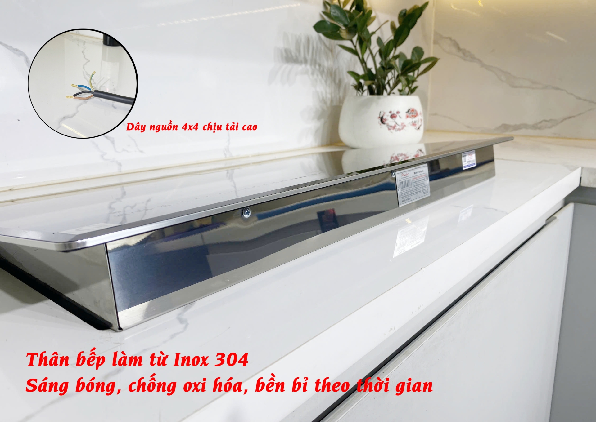 Bếp từ Model: PT-690.I1