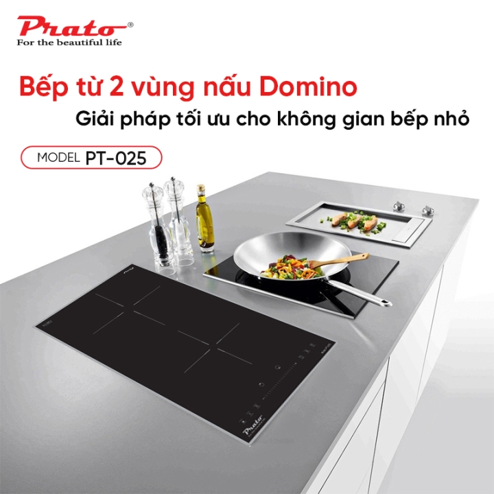 Bếp từ Domino Prato Model: PT-025