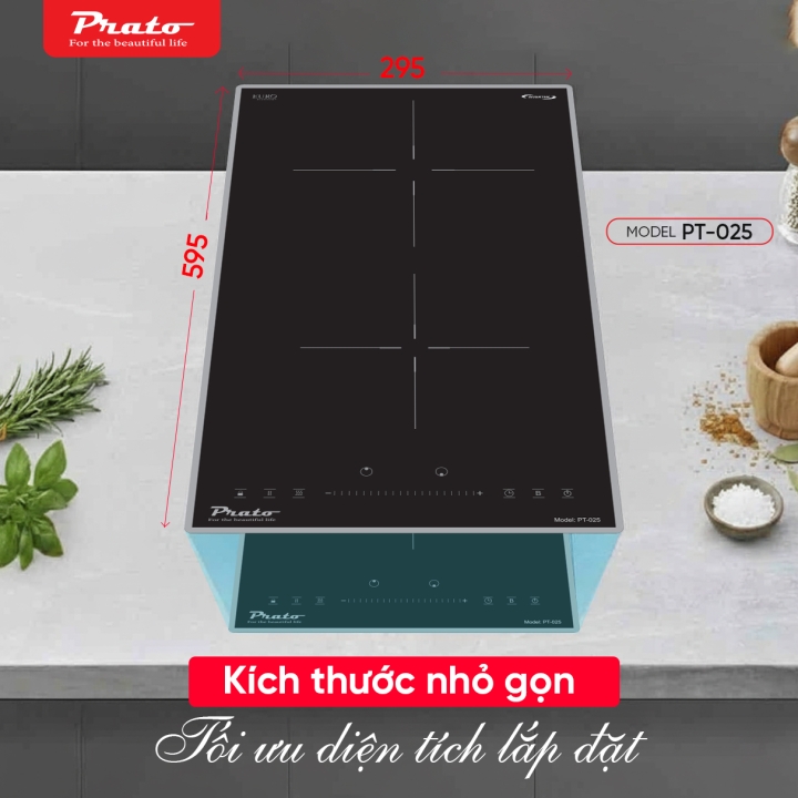 Bếp từ Domino Prato Model: PT-025
