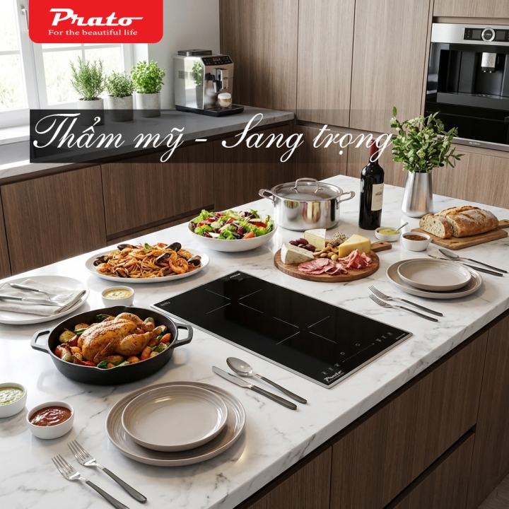 Bếp từ Domino Prato Model: PT-025