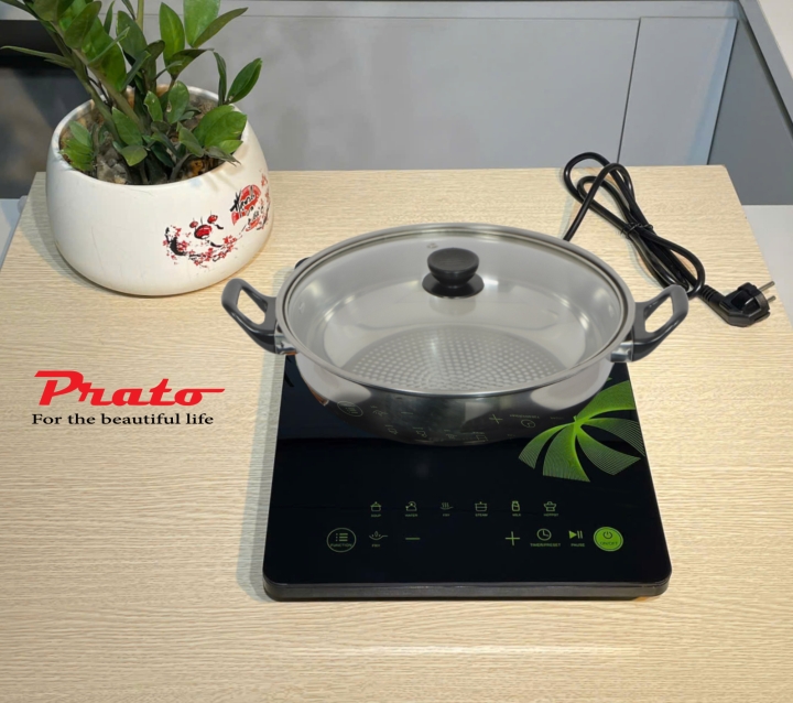 Bếp từ đơn Model: PT-1126.D